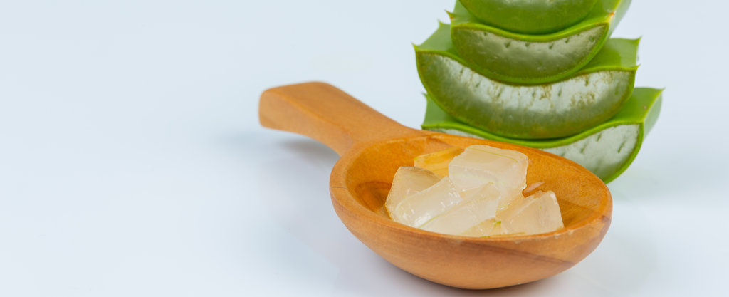 Aloe vera fresh leaves with slices and gel on wooden spoon. Aloe