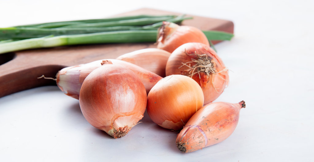 close-up view of onions and shallots on white background with copy space