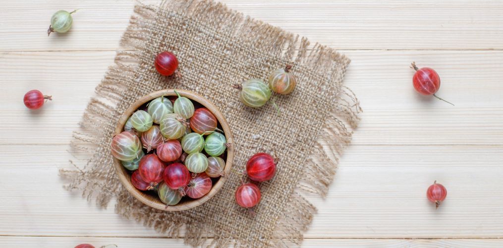 indian gooseberry