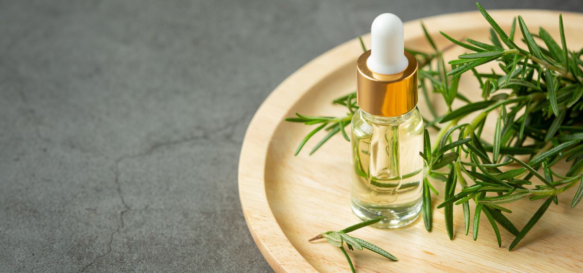 rosemary-oil-bottle-with-rosemary-plants (3) rosemary essential oil for healthy hair regrowth