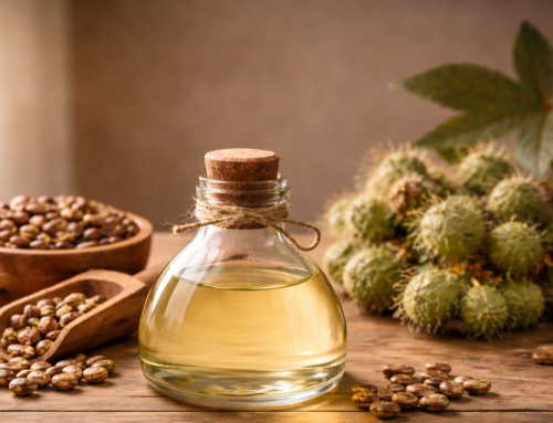 Why Castor Oil is a Game-Changer for Our Hair?