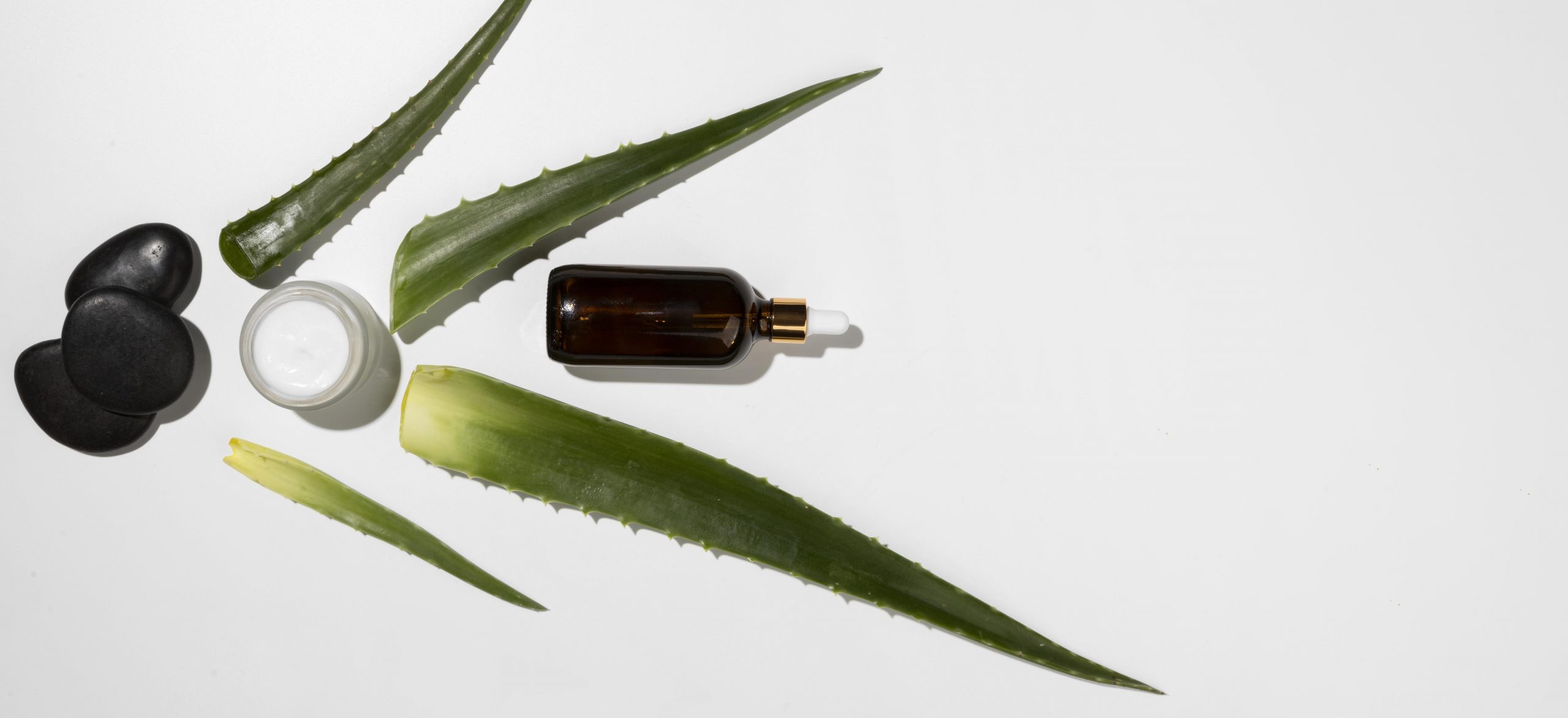 top-view-aloe-vera-beauty-concept castor oil and aloe vera gel hair mask